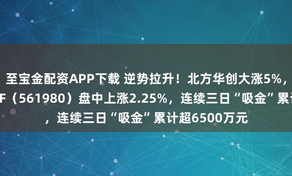 至宝金配资APP下载 逆势拉升！北方华创大涨5%，半导体设备ETF（561980）盘中上涨2.25%，连续三日“吸金”累计超6500万元