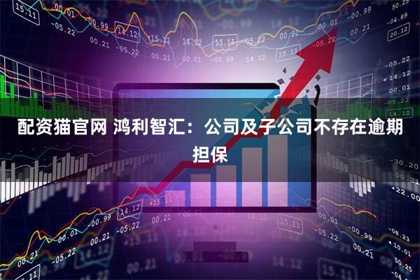 配资猫官网 鸿利智汇：公司及子公司不存在逾期担保